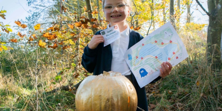 Golden Pumpkin Trail