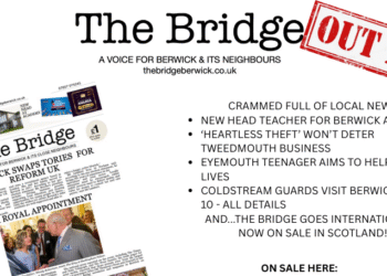 NEW ISSUE OF THE BRIDGE OUT NOW