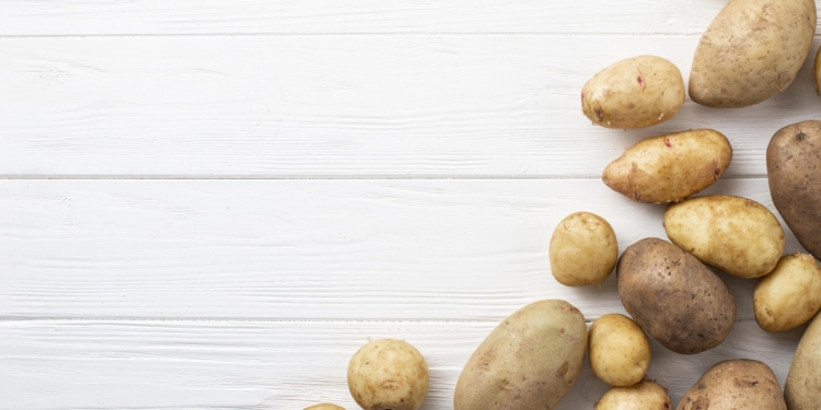 !!!JERSEY ROYAL POTATO LEAVES!!!