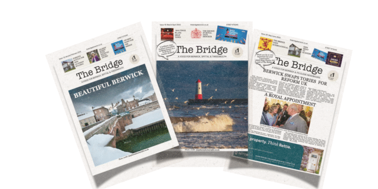 The Bridge Bundle – NEW Digital Version