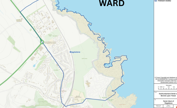 Second seat falls vacant on Berwick Town Council